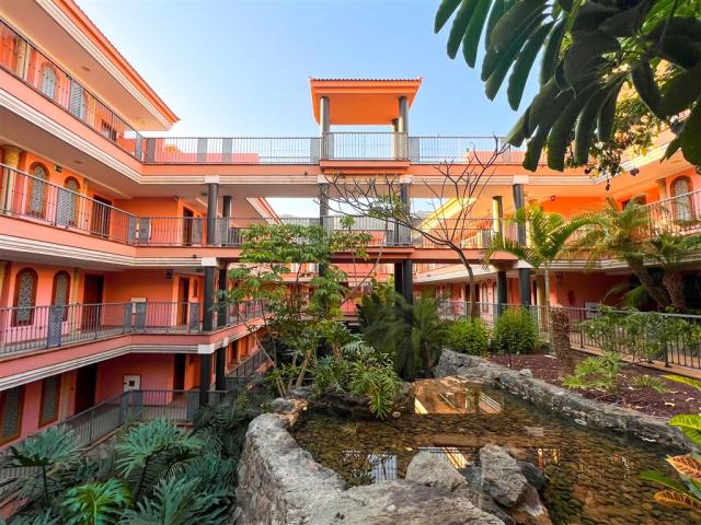 Subtropical garden areas  (12).JPG