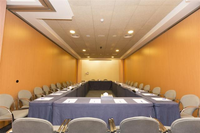 56. Sala de Eventos. Conference Room.jpg
