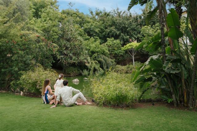 garden-lake-vegetation.jpg