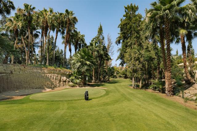 pitch-and-putt-2.jpg