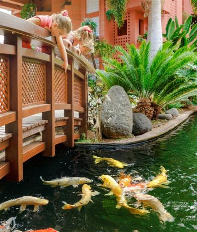 Kids _ fish pond-Bridge.jpg