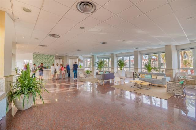 Koala_Garden_THe_HomeCollection-Inside_02.jpg
