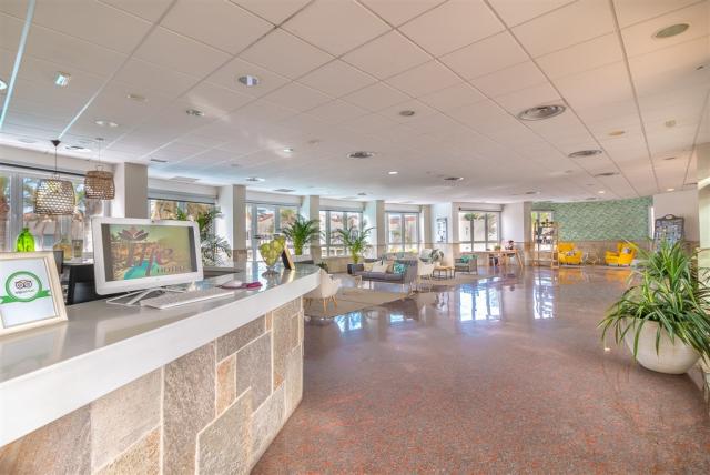 Koala_Garden_THe_HomeCollection_Inside_01.jpg
