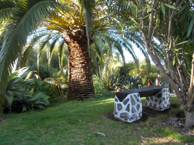 la-palma-romantica-hotel-barlovento-img-15.jfif