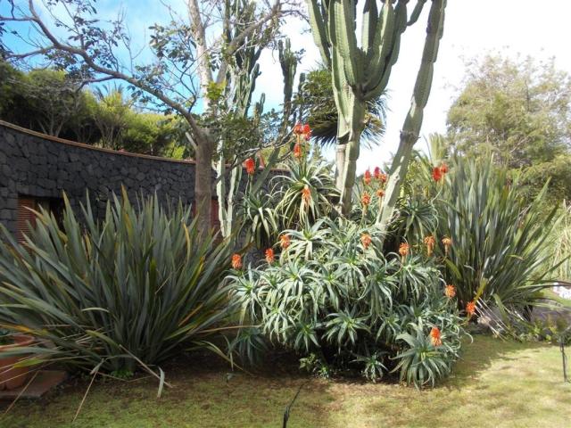 la-palma-romantica-hotel-barlovento-img-20.jfif