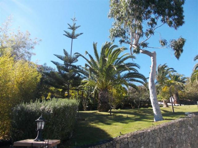 la-palma-romantica-hotel-barlovento-img-8.jfif