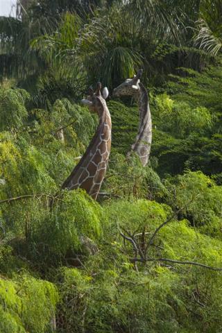 IMG_1706.jpg