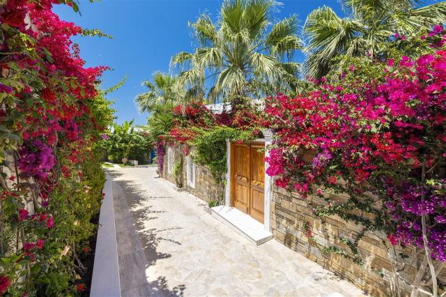 13 -Lush gardens - Porto Zante.jpg