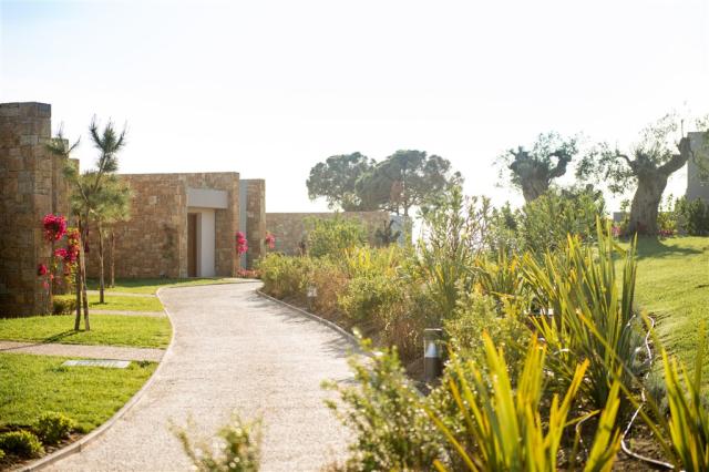 Ikos Olivia Bungalows in Gardens.jpeg