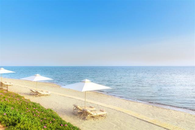 New Ikos Olivia Beach Deluxe section (1)1.jpeg