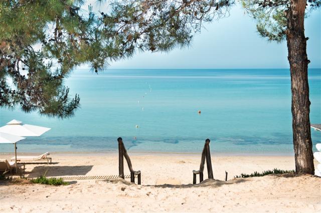 Oceania beach.jpeg