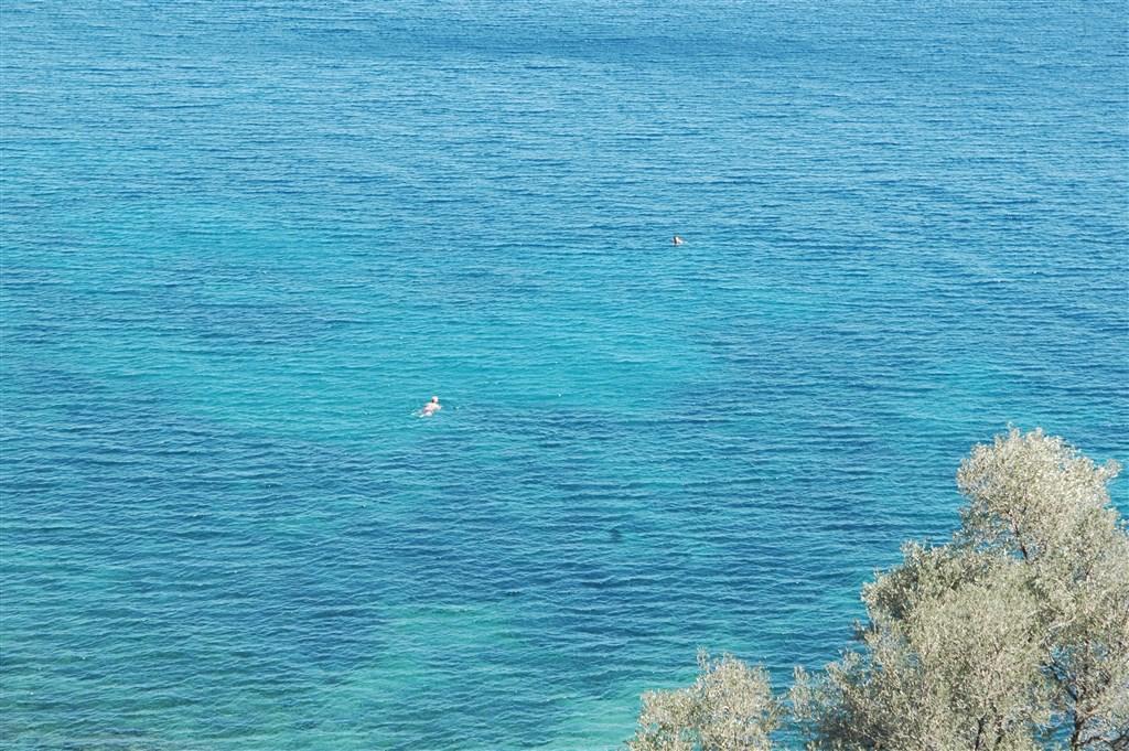 DSC_5817.JPG