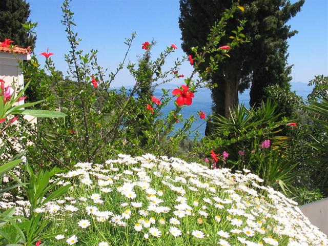 Αντίγραφο του IMG_1770.JPG