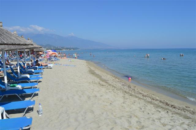 DSC_2102.JPG