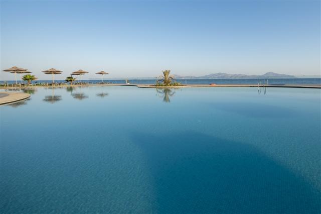 pool new ´4.jpg
