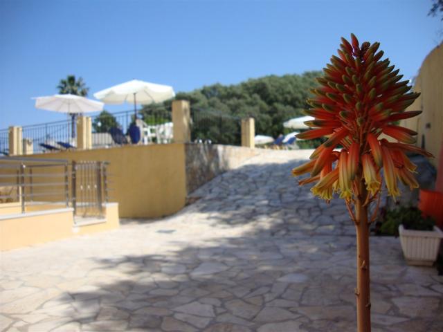 DSC08592.JPG