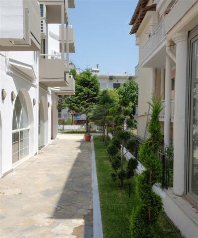 DSCF0600-2.JPG