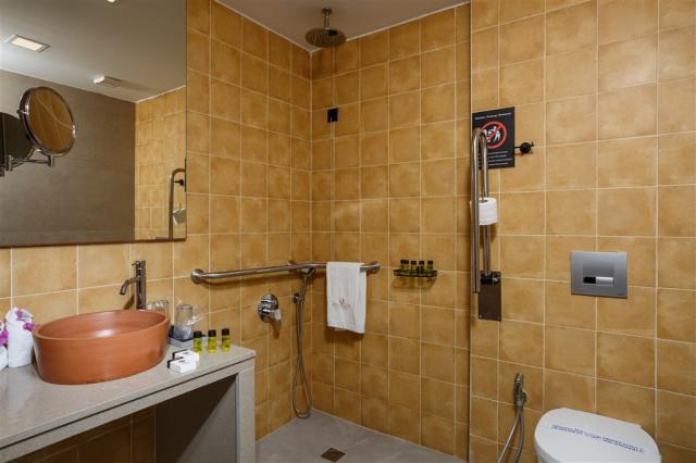 Handi WC.jpg