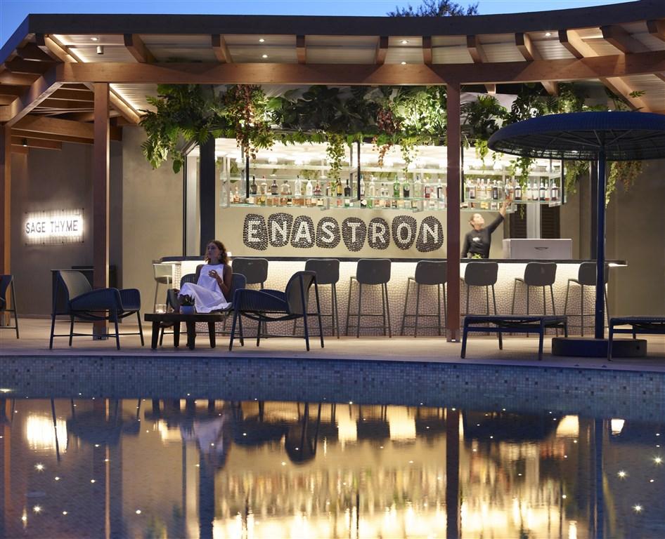 Enastron Pool Bar.jpg