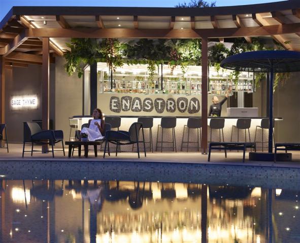 Enastron Pool Bar.jpg