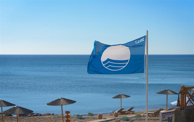 Blue Flag.jpg