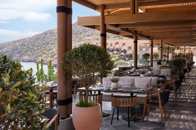 DC_Taverna_Outdoor_Overview_02.jpg