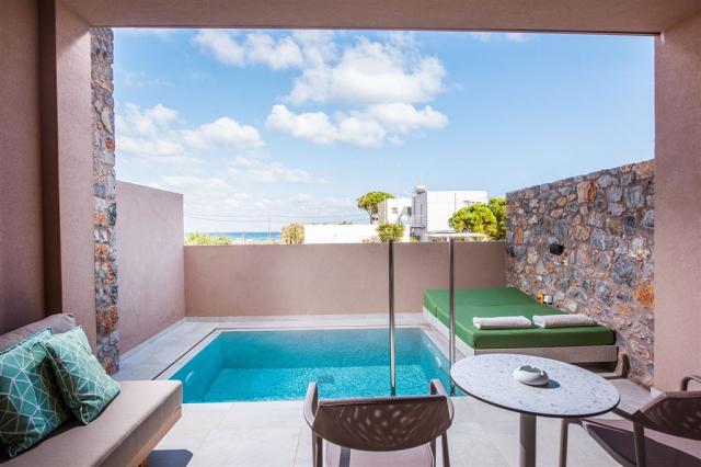 paralos-venus-suites-junior-suite-sea-view-private-pool-1.jpg