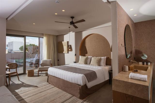 paralos-venus-suites-junior-suite-sea-view-private-pool-2.jpg