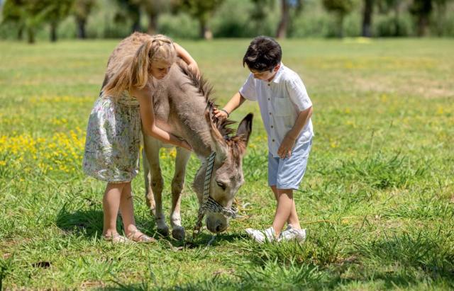 14-corfu-grecotel-costa-botanica-donkey-farm-nature-activities-