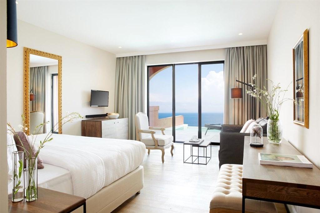 Deluxe Junior Suite Private use Pool.jpg