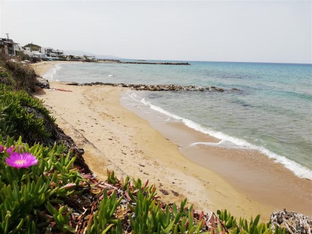 Shotels Almare beach hotel 5.jpg