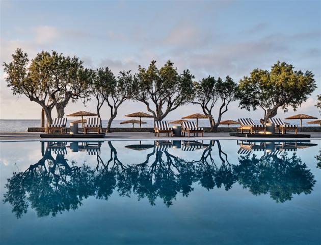 Swimming pool with tamatrisks.jpg