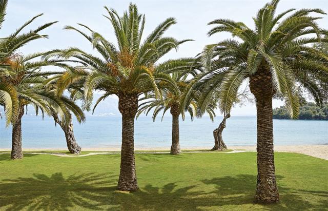 20-daphnila-bay-dassia-relaxed-holiday-family-hotel-all-inclusi