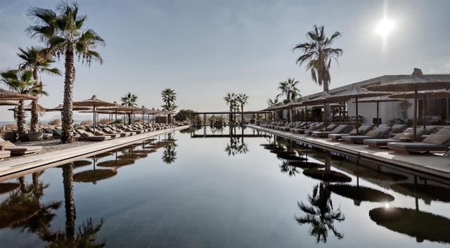 Domes-Zeen-Outdoor-Pool-copy.jpg