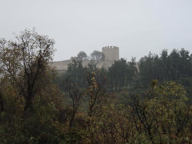 general view1.jpg