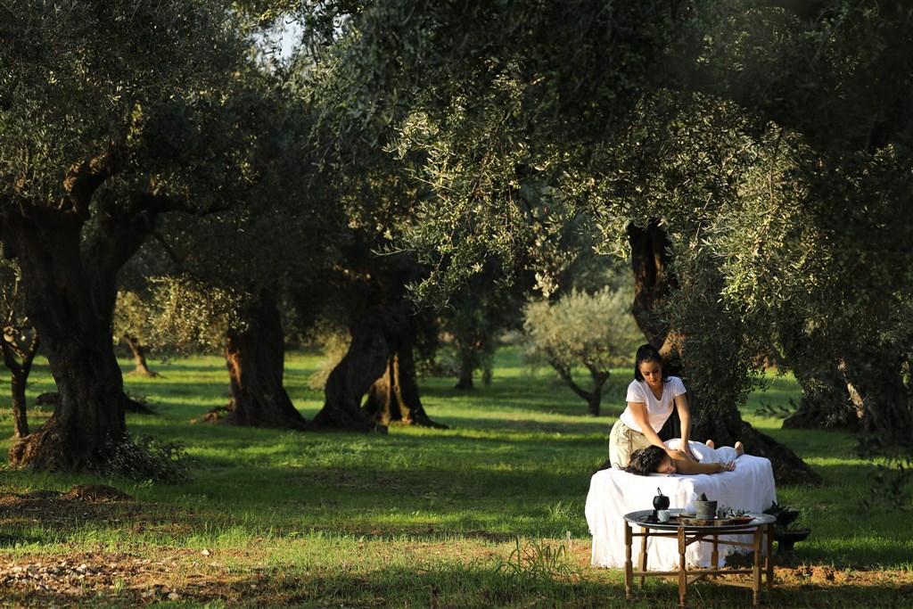 Anazoe Spa_Olive Grove experience.jpg