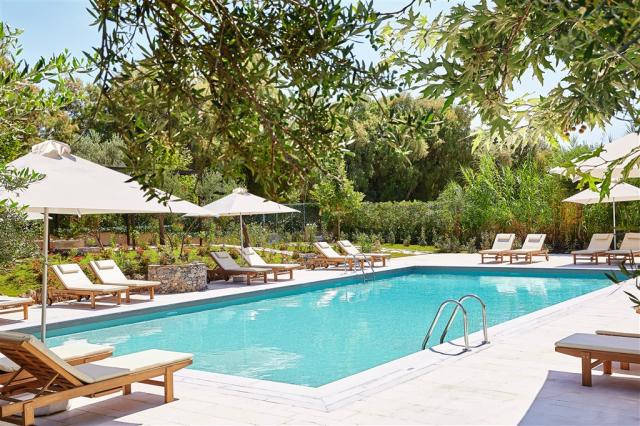 04-Villa-Oliva,-A-large-freshwater-pool-surrounded-by-olive-tre