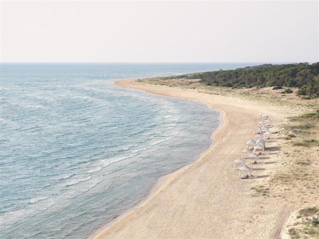 561.jpg