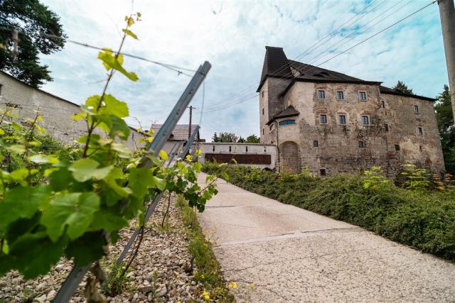 Hrad Vildštejn