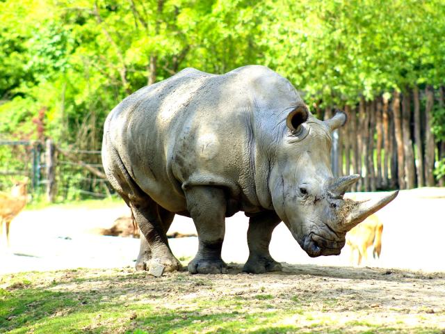 23 ZOO Ostrava Zlín Lešná