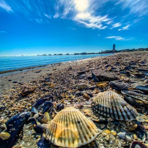 27 Itálie, Cesenatico   pláž