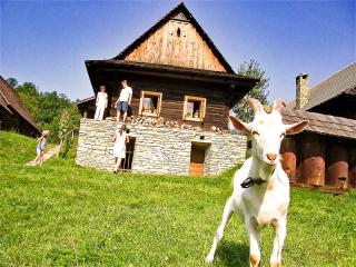 Beskydy hory zážitků Apartmány Vila Věra Rožnov