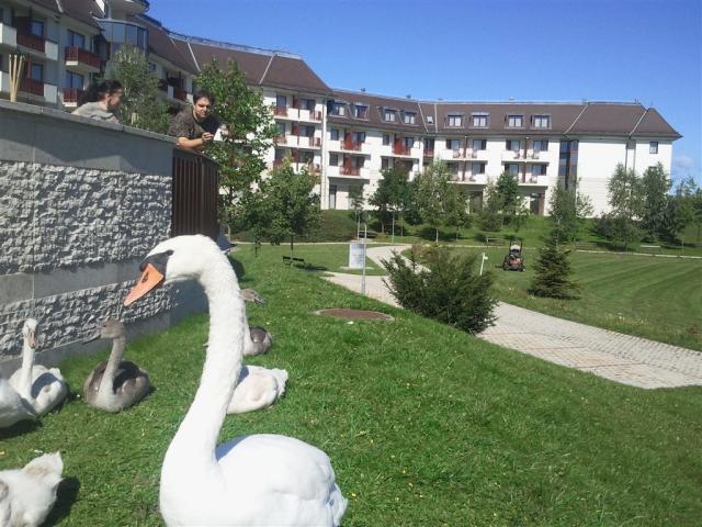 Greenfield Golf & Spa