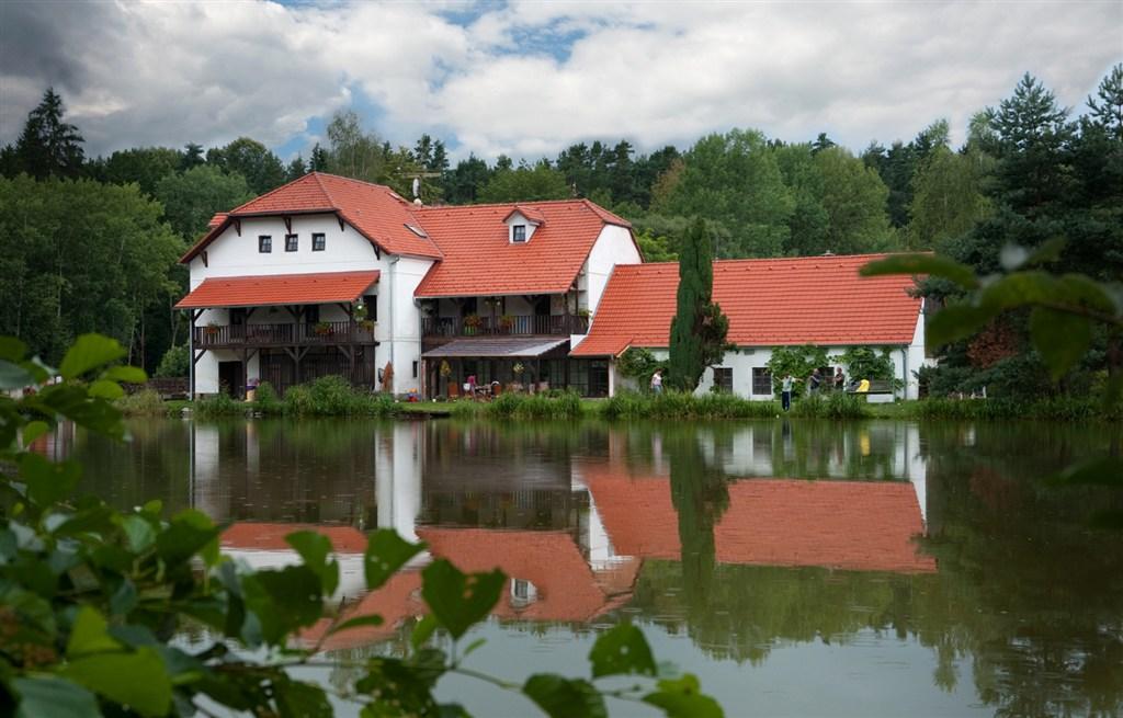 Pohled z vodní hladiny rybníka