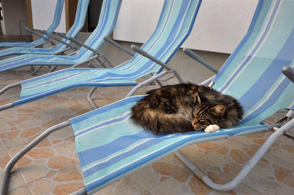 Relaxační zóna
