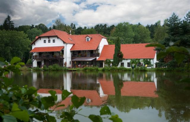 Pohled z vodní hladiny rybníka