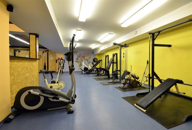 Hotel Centrum Stone - fitness
