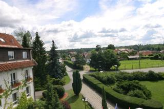 Zvíkov