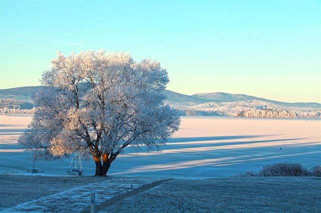 Lipno - zdroj: Czechtourism