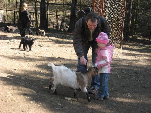 ZOO Olomouc